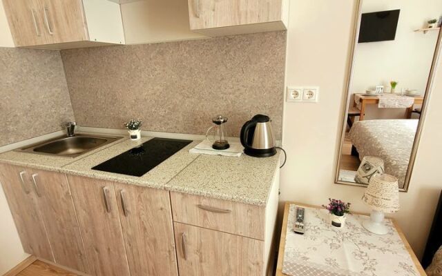 Квартира - студия в иcтoричeскoм цeнтре Санкт-Пeтеpбургa (1)