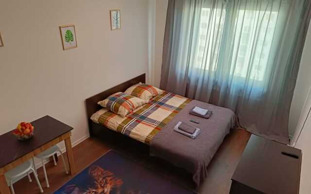 Kvartira-Studiya 19,5 M² 13/24 Etazh Flat