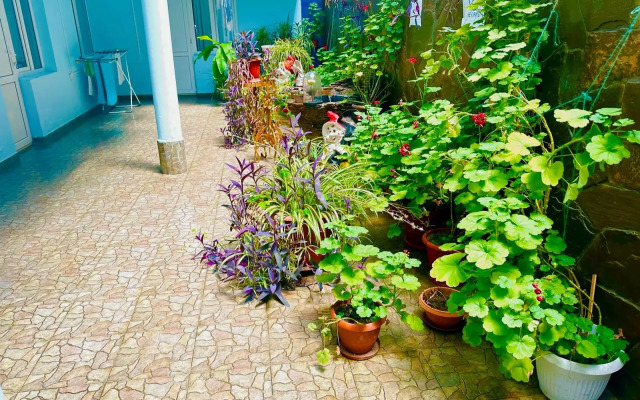 Fresh Apart Guest house