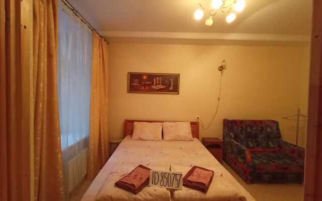 V Tsentre Apartments