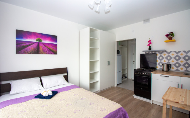 Sovremennaya Studiya Molodezhnaya Apartments