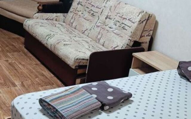 Квартира однокомнатная на Ивана Черных 127