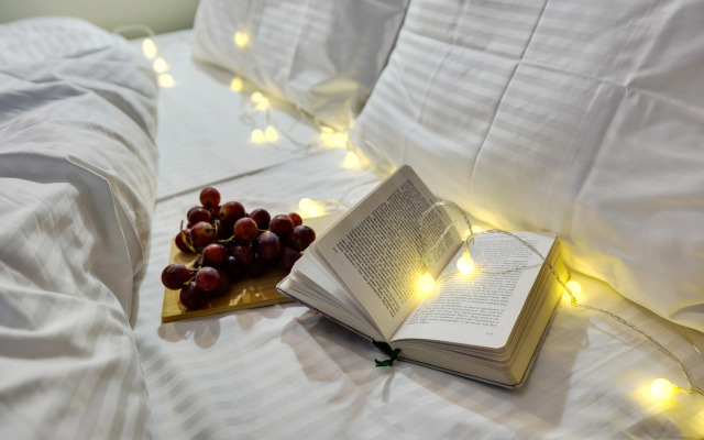 Апартаменты Сага от Home24