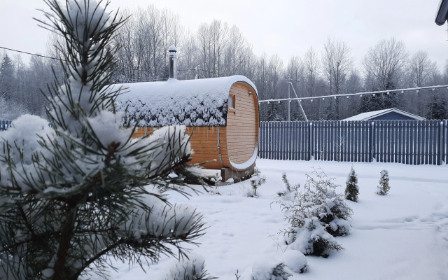 Частный дом у леса