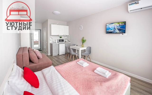 Уютная студия 1 на Стрелковой