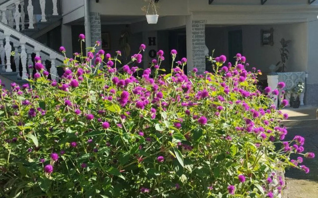 Dacha u Morya Guest House