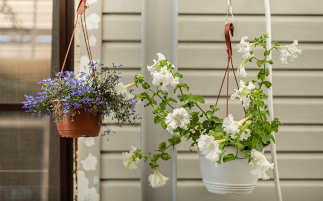 Гостевой дом Изумруд