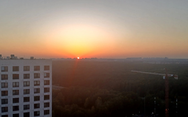 Квартира на 25 этаже с видом на лес