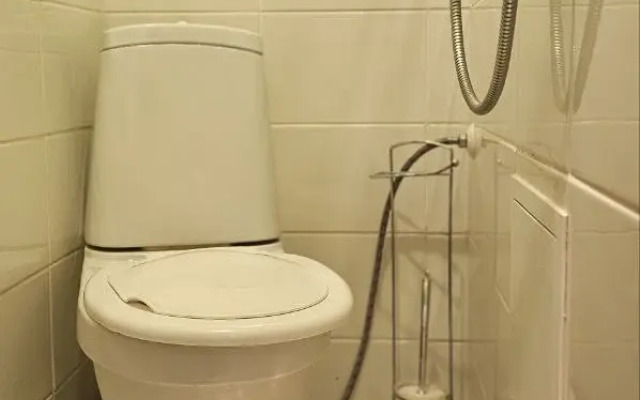 Uyutnaya Studiya Flat