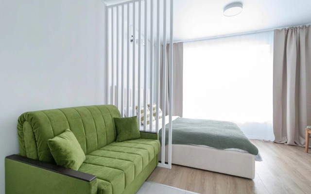Apartments Standartnye S Domashnim Kinoteatrom V Zhk Ilyinskie Luga