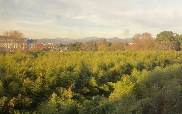 More Kvartir S Panoramnymi Pknami Vid Na Bambukovuyu Roshchu Flat