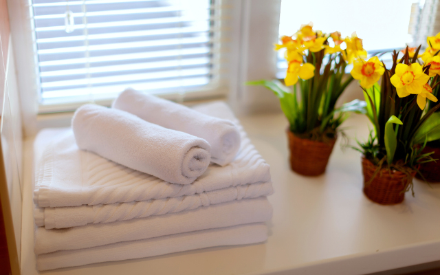 Vishnevyij Sad Guest House