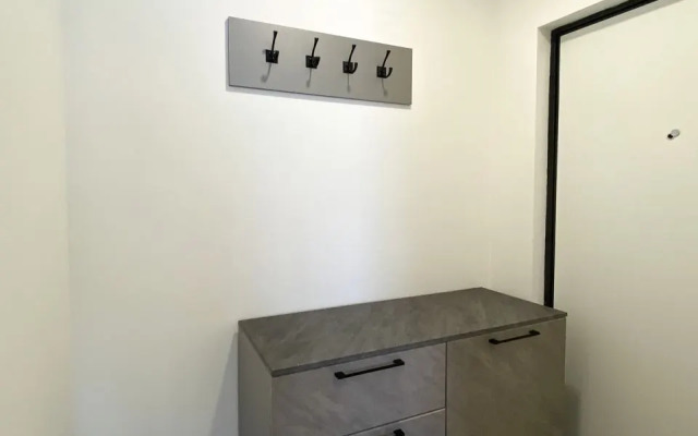 Апартаменты-студия 26 кв.м. с кроватью и панорамными окнами, 17 этаж