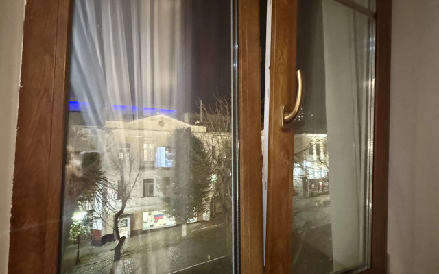 V Tsentre Goroda Flat