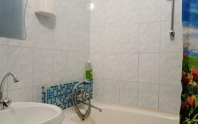 Апартаменты 2-комнатные Berezovaya Roscha