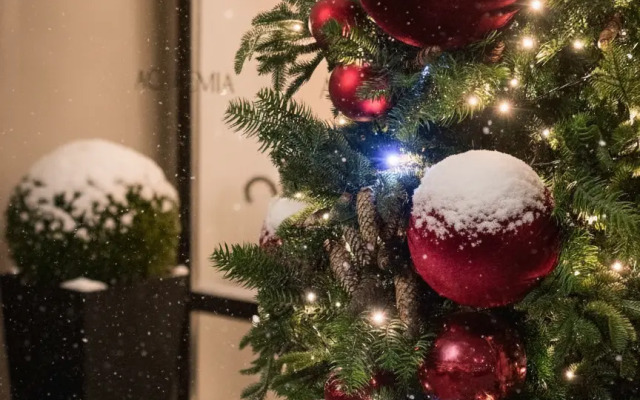 Бутик-Отель Академиа Васильевский