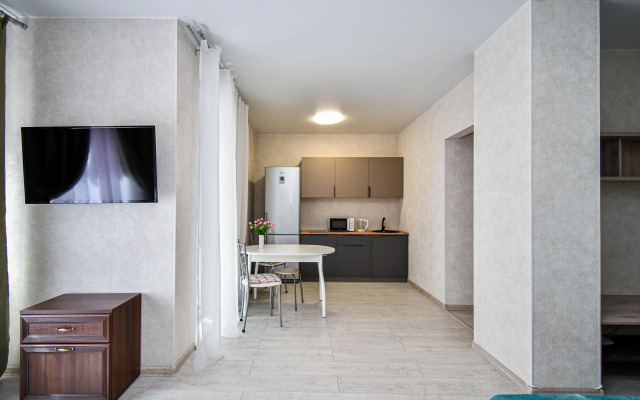 Апартаменты на Алексеева 46 (2)