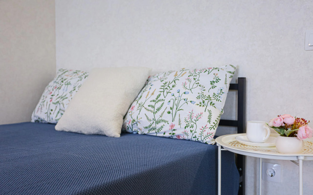 U Petrovny uyutnaya Studiya Flat
