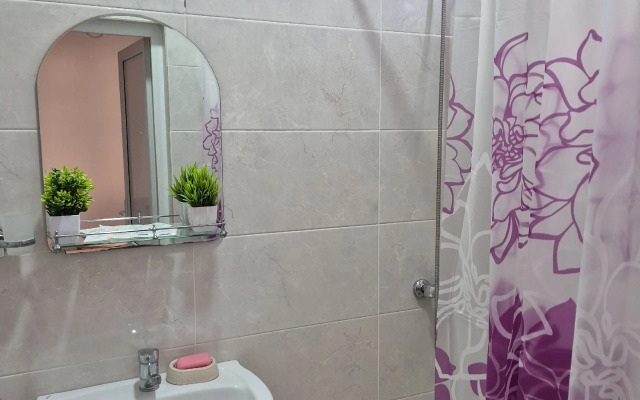 Guest house Rodnichok