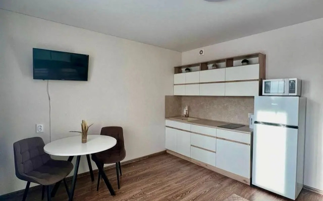 V Sovremennom Rayone Goroda Apartments