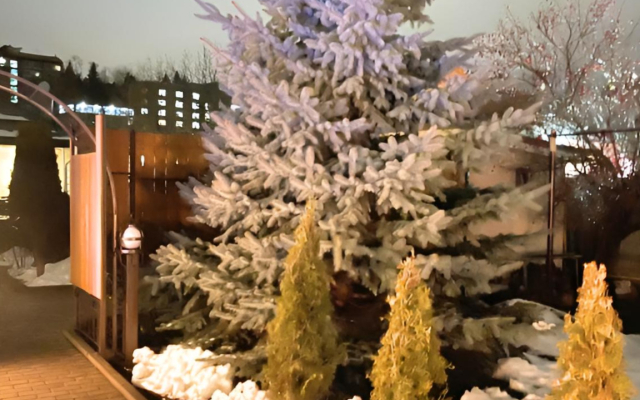 Частный дом Уютный дом