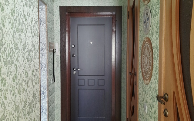 Ryzhiy Kot vozle Parka Apartments