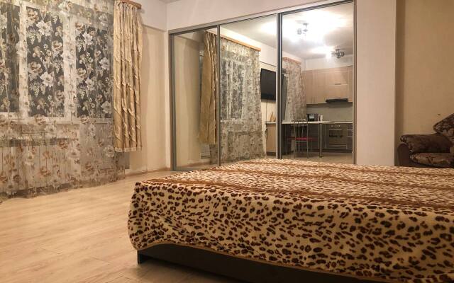 Апартаменты рядом с аэропортом