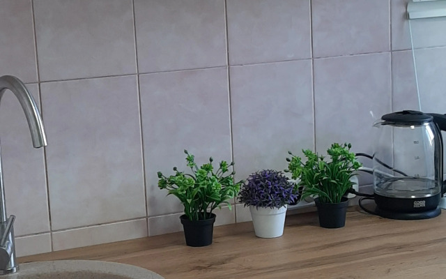 Апартаменты 2-комнатные с Выходом на Крышу