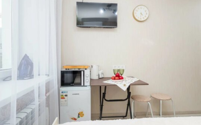 Milaya Studiya V Tsentre Apartments