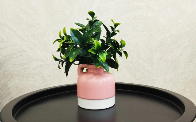 Квартира Светлая