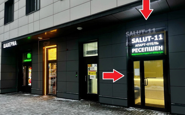 Salyut-11 Flat