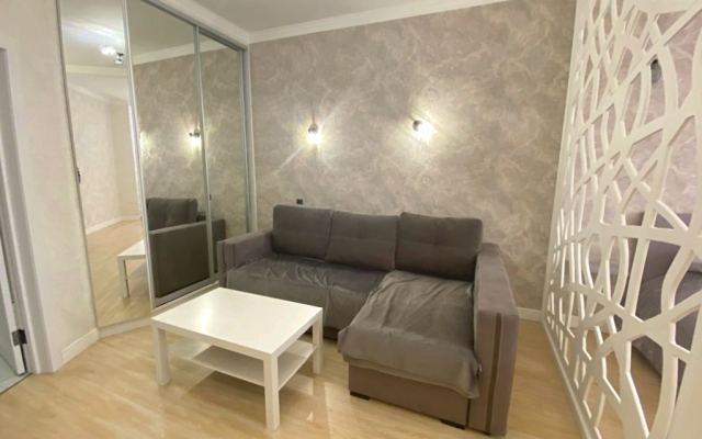 S Panoramoi I Krasivim Vidom Na Gorod Biznes-Klassa Na Pushkina 54\1 Apartments
