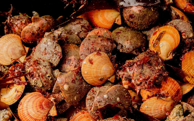 Гостевой дом усадьба Канентъявр