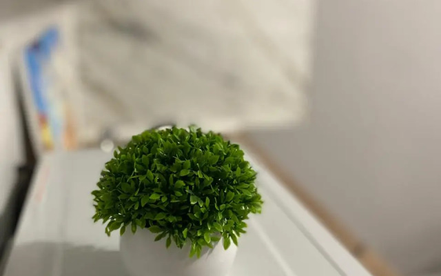 Uyutnaya Studiya Flat