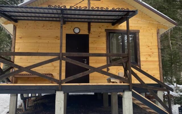 Polyana Zubrov Recreation Camp