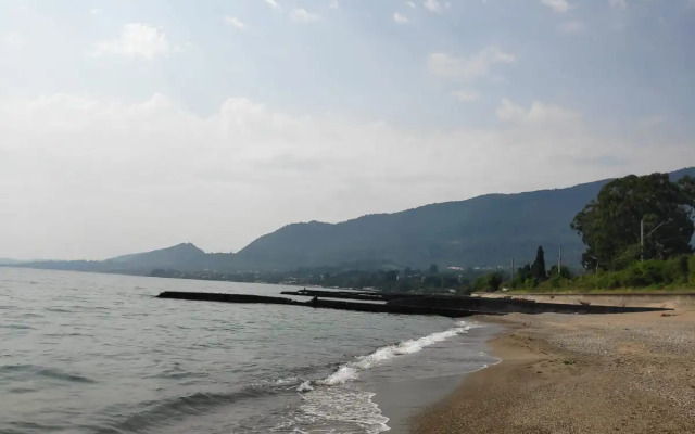 Tsitrus 21 Guest House
