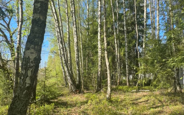 Частный дом Skandi Life