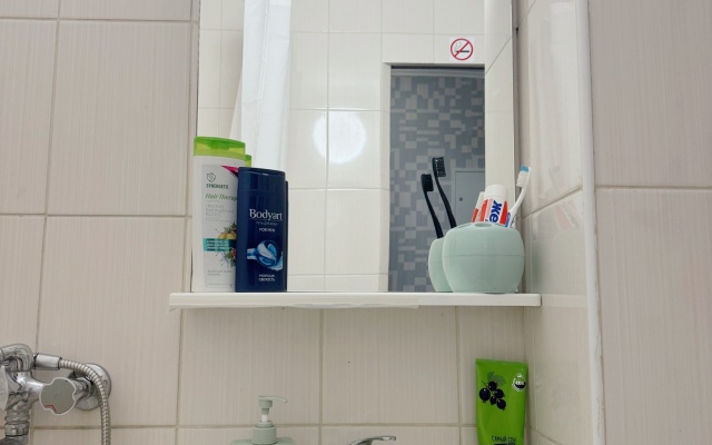 Апартаменты Центр у Каштанов Ленинский Пр-т 8