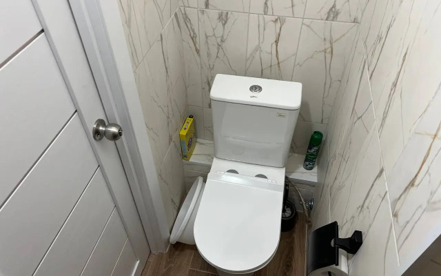 Na Lenina 290/6 Flat