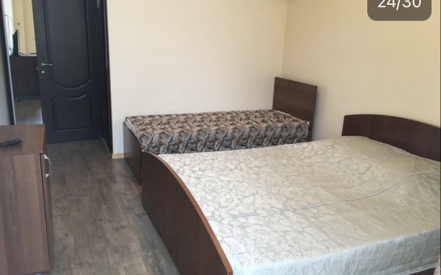 Guest house Mandarin on Titova 85