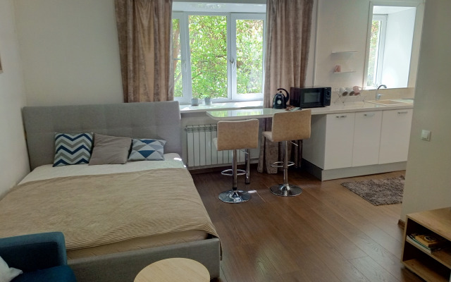 Uyutnaya Studiya V Tsentre Irkutska Flat