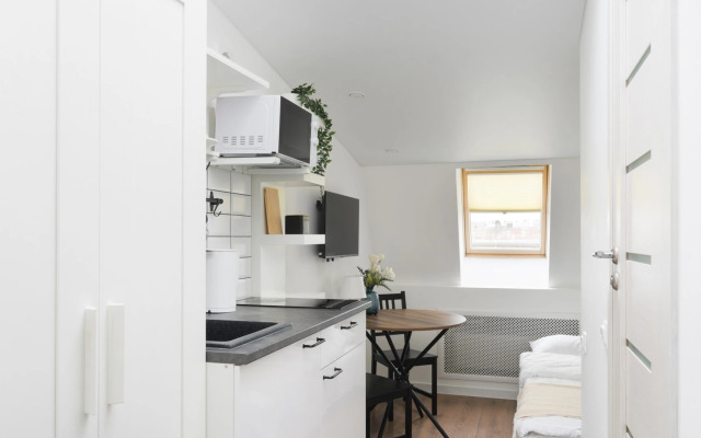 Квартира Студия в мансарде с видом у метро Чернышевская