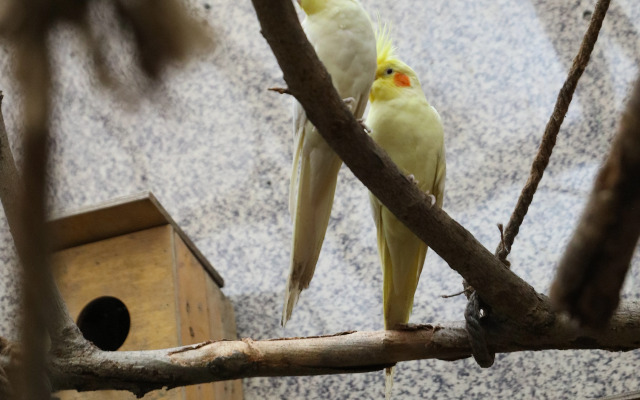 U Ashota Guest house