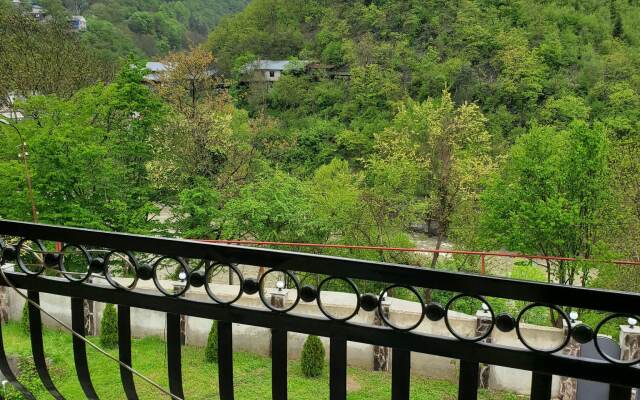 Dioscuria Borjomi Guest House