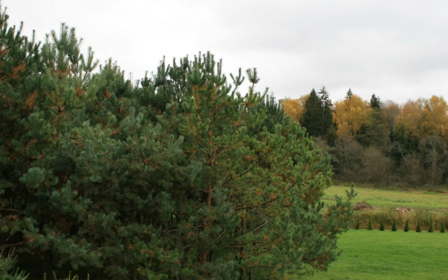 Частный Дом Chalet-Дом