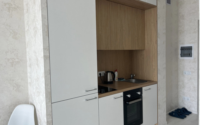 Апартаменты однокомнатные улица Брилевская 33