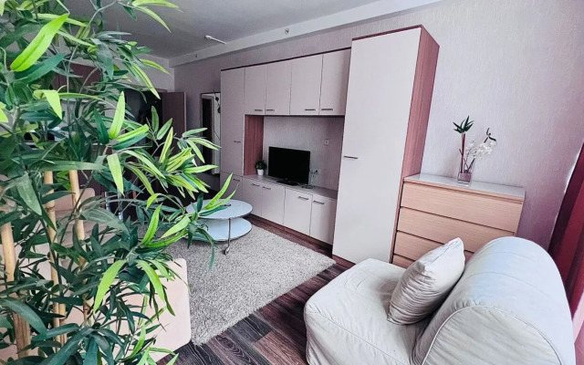 Apartments Salut Pulkovo