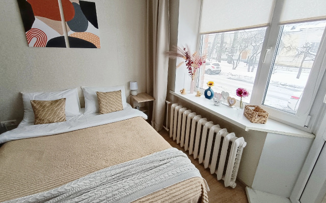 V Tsentre Petergofa Apartments