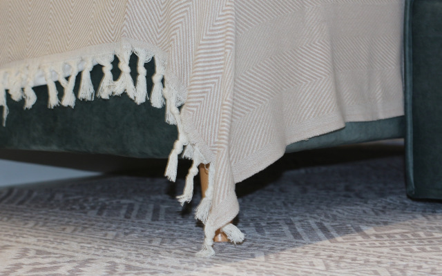 Квартира NiceAparts Фрунзе 31