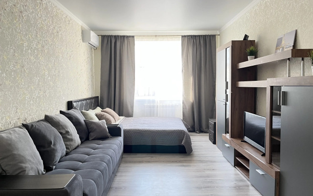 Gray Home Flat